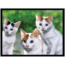 3D Lenticular lens picture-"Three Cats' without frame-58x38 CM (Code:LEN0001) 3D Lenticular lens picture-"Three Cats' without frame-58x38 CM (Code:LEN0001)